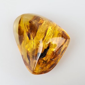 Big Amber Stone with Insect, Collector&#39;s Piece, Amber for Museums, Home Decoration, Amber For Display, Genuine Natural Amber Gemstone, Gift