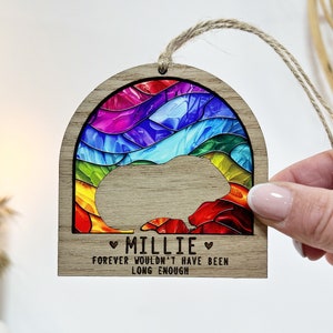Guinea pig loss memorial rainbow bridge gift, stained glass effect keepsake gift, light catcher, Guinea pig sympathy gift, remembrance gift