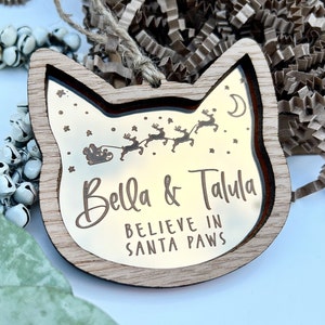 Kerstman poten kat kerstversiering, kat kerstornament, katten eerste kerstornament, katten 1e kerstversiering, kattencadeau, katten