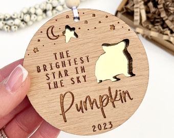 Hamster memorial gift, Hamster sympathy gift, Hamster ornament, Brightest star in the sky hamster loss bereavement gift, Loss of hamster