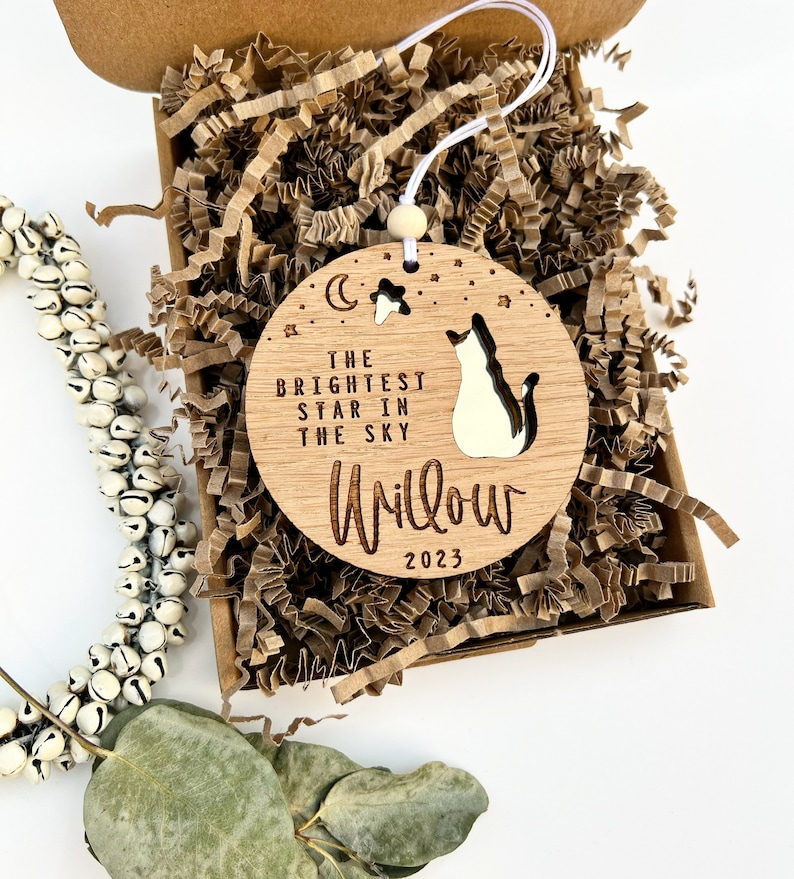 May include: A wooden ornament with a cat silhouette and the text "The Brightest Star in the Sky" and "Willow 2023". The ornament is in a brown box with shredded paper.