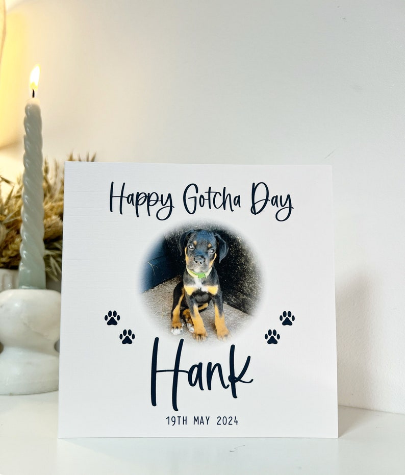 May include: A white card with the text "Happy Gotcha Day" and a photo of a black and brown puppy in a circle. The puppy is sitting on a concrete surface. Below the photo is the name "Hank" in black script and the date "19th May 2024". There are two black paw prints on either side of the name.