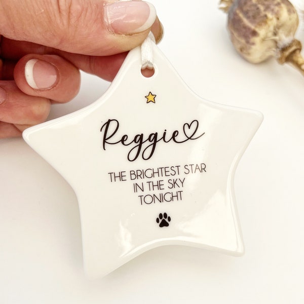 Pet memorial gift, brightest star in the sky, pet loss gift, pet remembrance, star memorial, memorial gift, thinking of you gift