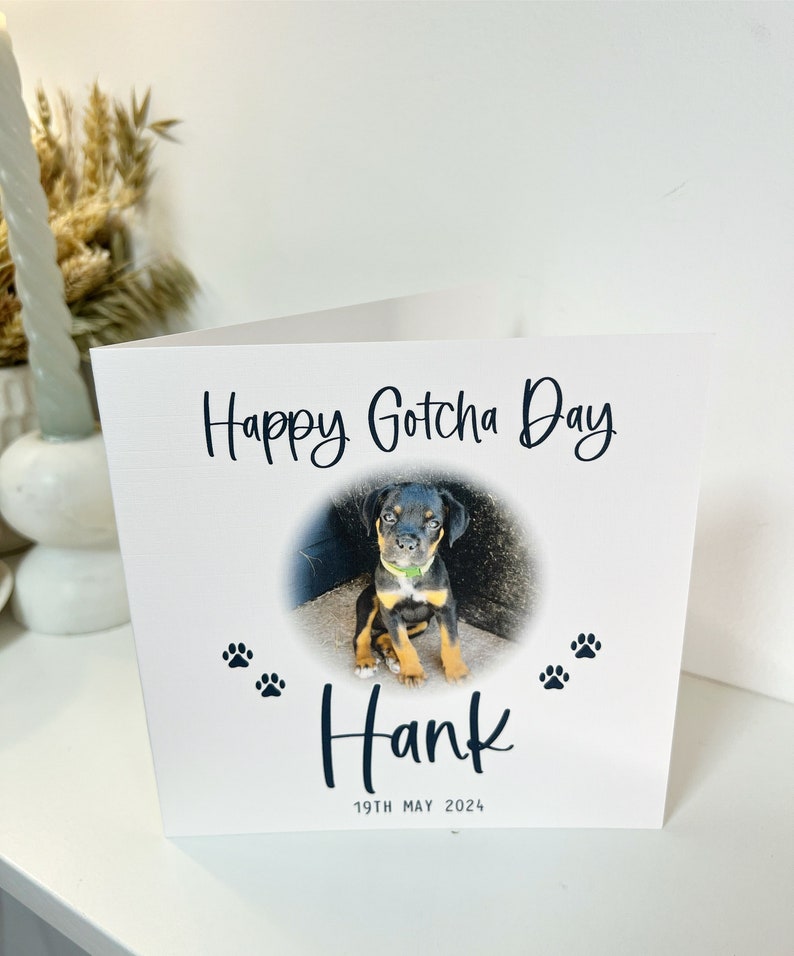 May include: A white card with the text "Happy Gotcha Day" and a photo of a black and brown puppy. The puppy is sitting on a concrete surface. The card also has the text "Hank" and "19th May 2024".