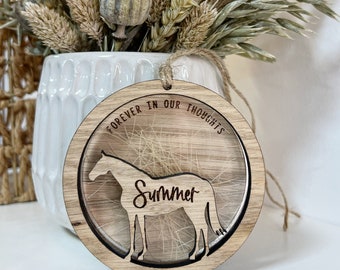 Custom horse hair keepsake, Pet memorial box, Horse hair trinket, Pet hair keepsake, Horse loss sympathy, Horse memorial, Pony keepsake