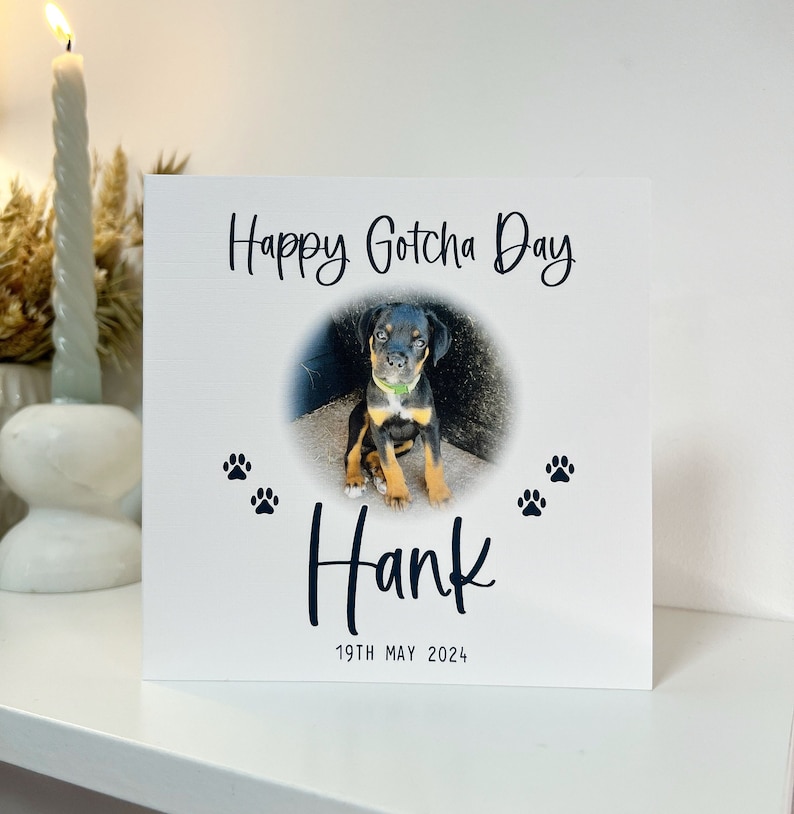 May include: A white card with black text that says "Happy Gotcha Day" and "Hank" with a paw print on either side of the name. There is a photo of a black and brown puppy in a circle in the center of the card. The date "19th May 2024" is printed below the name.