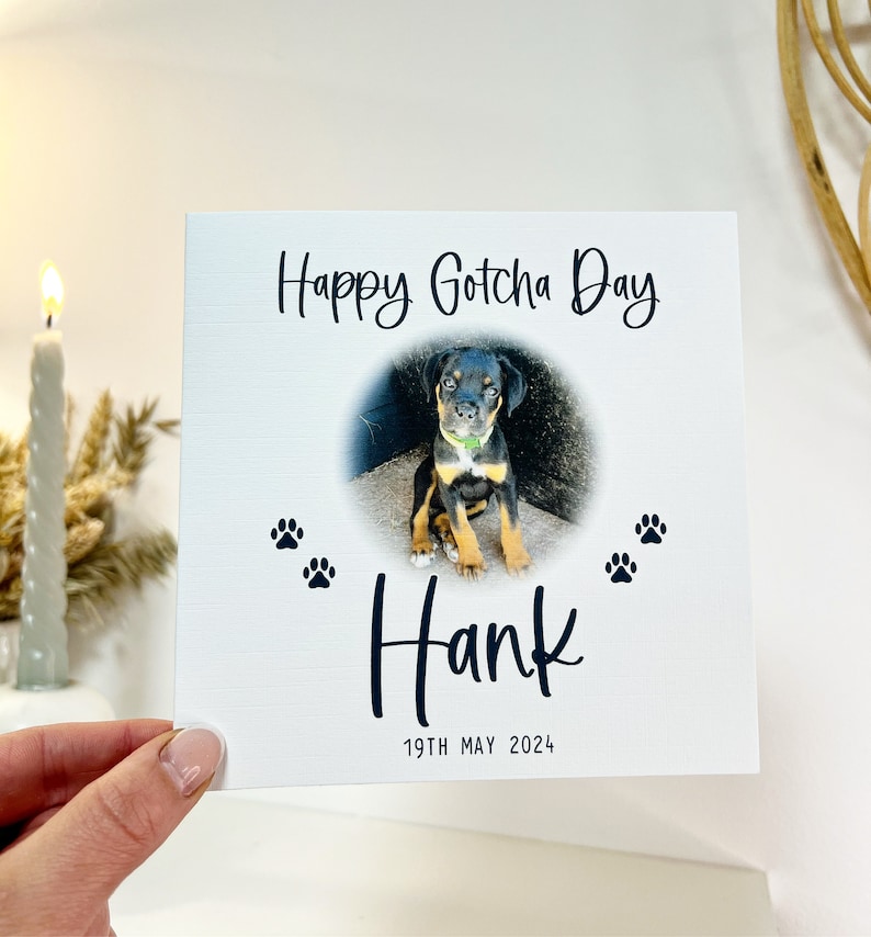 May include: A white card with black text that says "Happy Gotcha Day" and "Hank" with a paw print design. A photo of a black and brown puppy is in the center of the card. The date "19th May 2024" is printed at the bottom of the card.