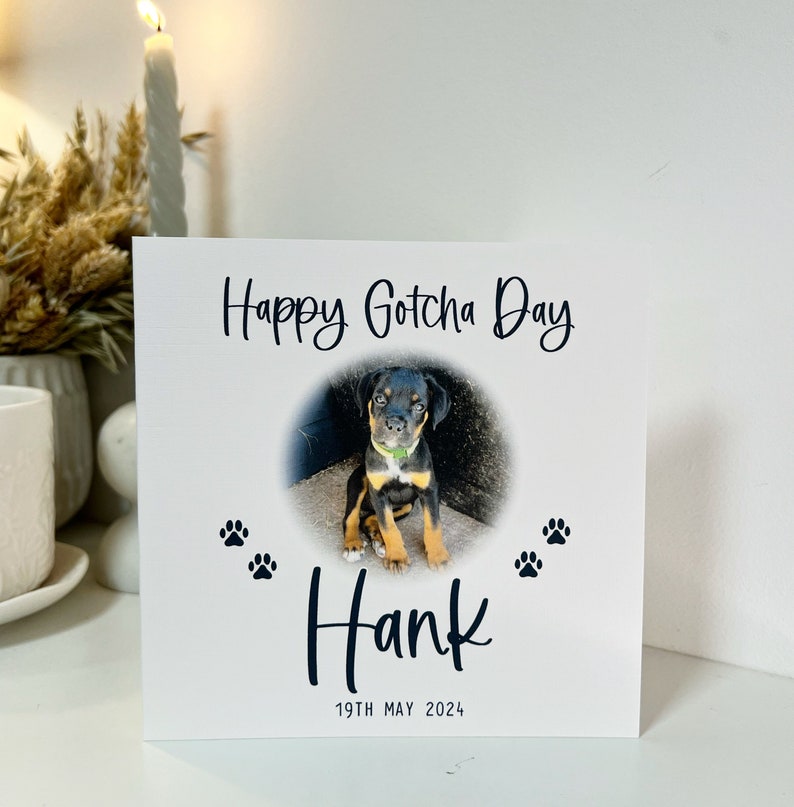 May include: A white card with the text "Happy Gotcha Day" and a photo of a black and tan puppy. The puppy is sitting on a concrete surface. The card also has the text "Hank" and "19th May 2024".