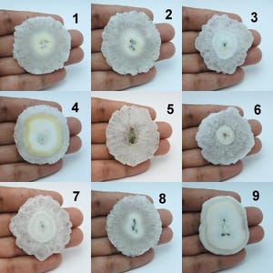 Puede incluir: Nueve rodajas de cuarzo en forma de estrella, blancas y grises, cada una sostenida en una mano. Las rodajas circulares presentan patrones centrales y formaciones cristalinas radiantes. Algunas tienen centros amarillos o verdes.