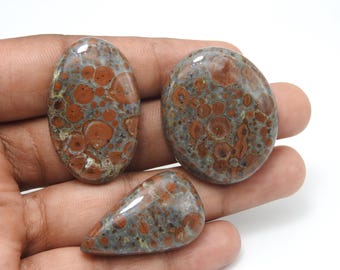May include: Three polished gemstones with a mottled pattern of reddish-brown and gray. The stones are oval, round, and teardrop-shaped. The gemstones are held in a hand against a white background.