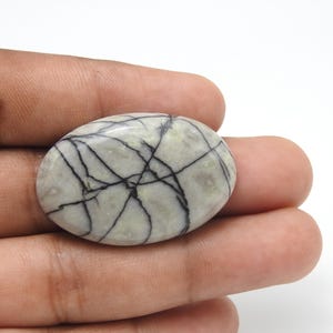 May include: An oval-shaped gemstone with a light gray base and a striking pattern of black veins. The stone is held in a hand against a white background, showcasing its natural beauty and unique veining.