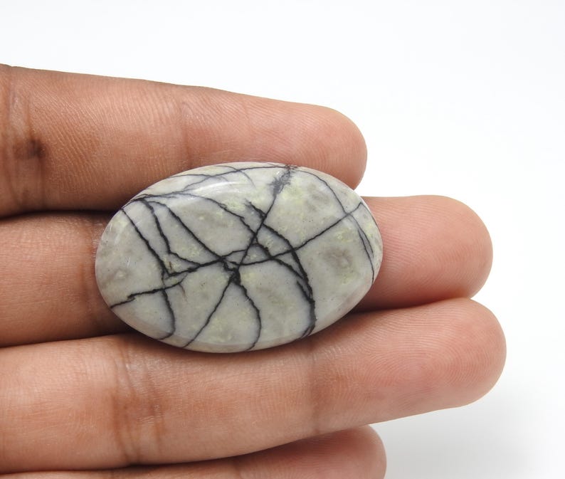 May include: An oval-shaped gemstone with a light gray base and a striking pattern of black veins. The stone is held in a hand against a white background, showcasing its natural beauty and unique veining.
