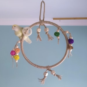 Deluxe Bird Swing with Toys | Handmade Parrot Swing for Small Birds | Hanging Natural Bird Perch Toy | Activity Swing for Small Birds