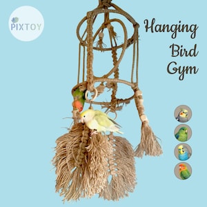 Natürliche Bird Gym | Multi-Level-Hängespielzeug für kleine Papageien | Lovebird & Wellensittich Spielzeug | Handgemachter Papageien-Spielplatz mit Schaukel