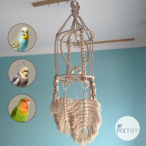 Handmade Multi-Level Hanging Bird Gym: Royal Playground and Preening Swing