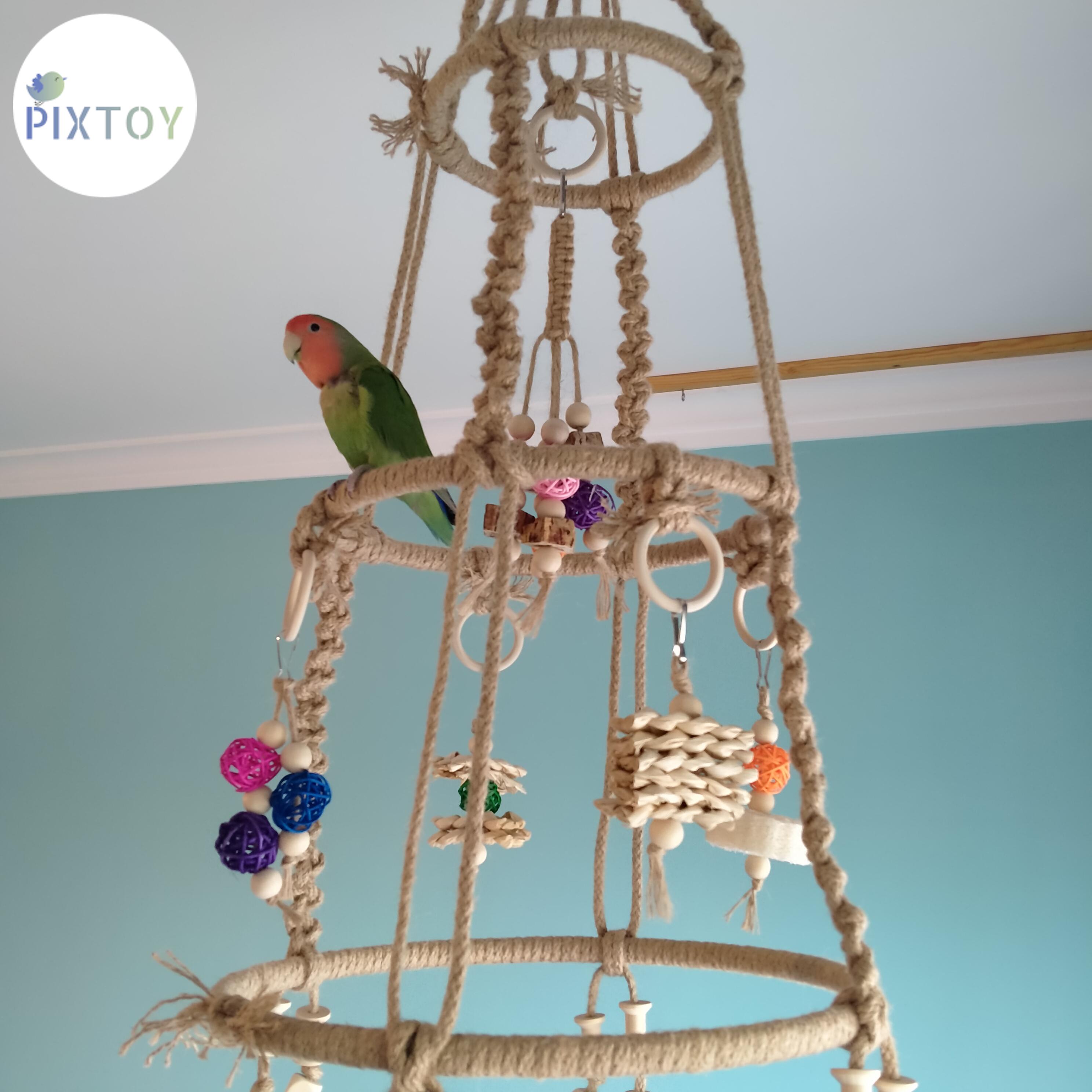 hanging parrot play gym