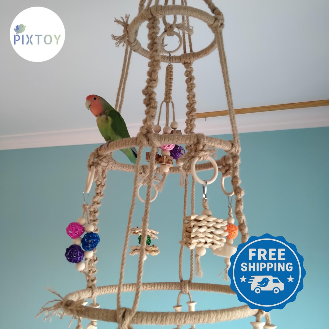 A closer look at Multi Level Bird Perches