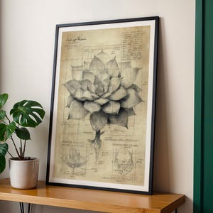 Black and White Plant Diagram Poster, Educational Wall Art, Modern Decor