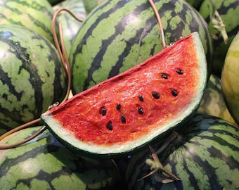 Watermelon Bag