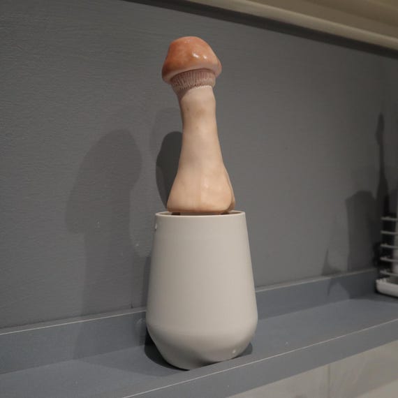 Mushroom Soap Dispenser