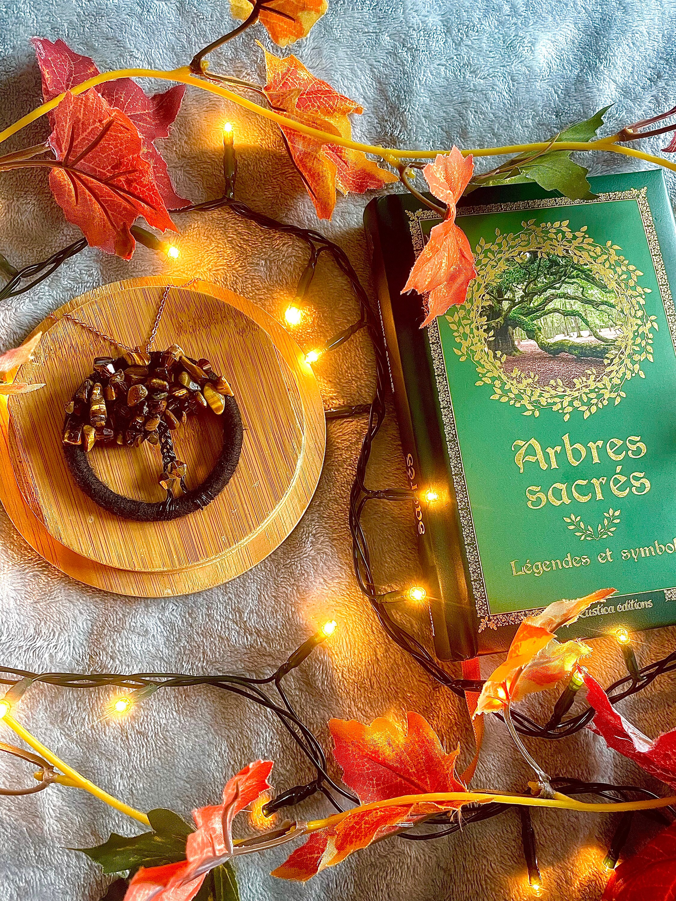 Arbre de Vie Oeil Tigre - Pachira Lucky Bean Pendentif Collection Hugin&munin