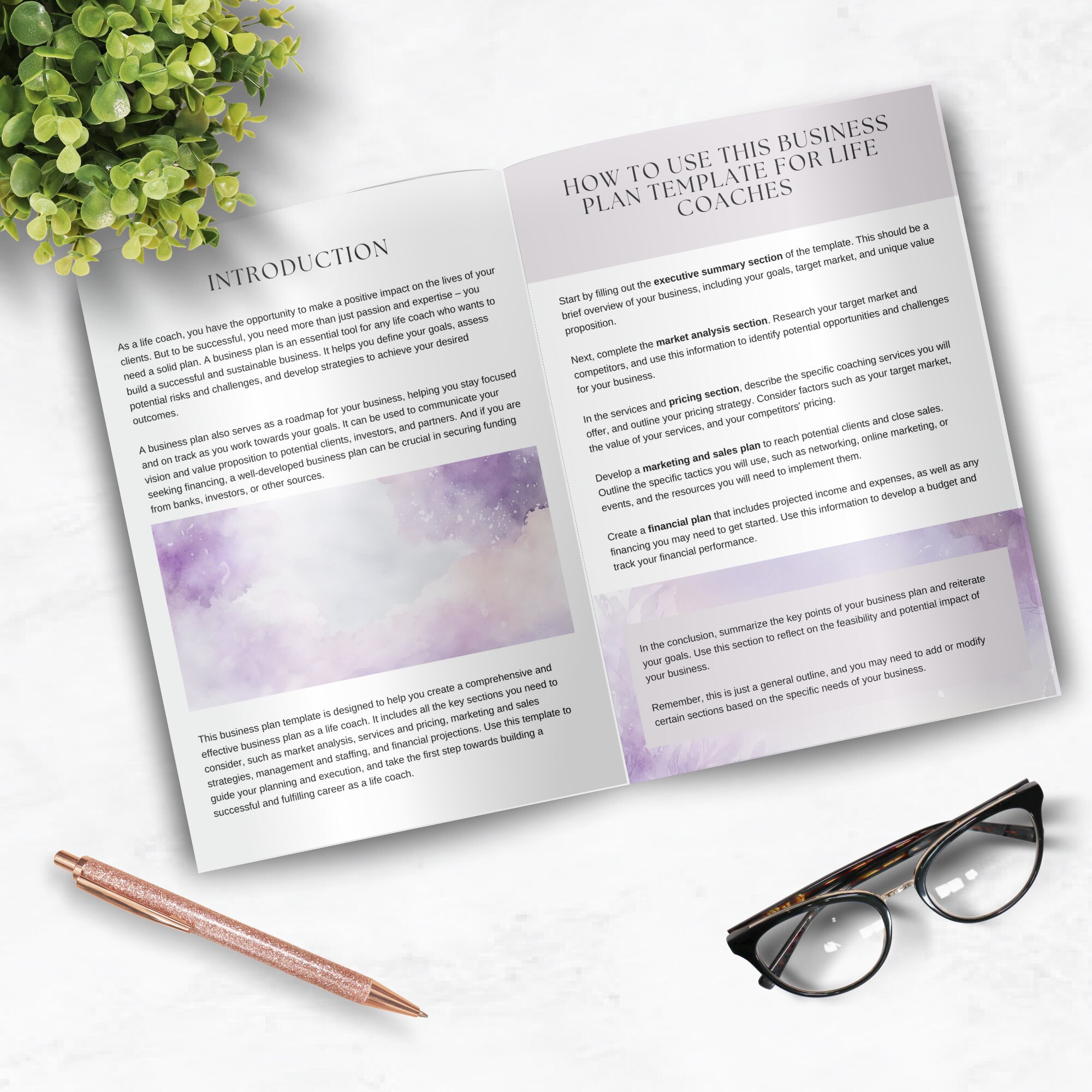 Life Coach Business Plan Template Canva Printable Startup Business Plan ...