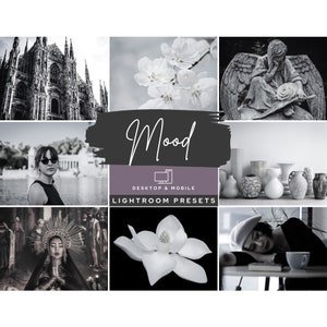 12 Lightroom Presets Mood, Lightroom mobile and desktop presets, Dark Aesthetic, Blogger photo presets, Instagram filter | EWJB PRS1