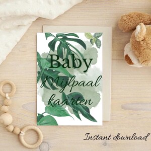 Boho Botanica néerlandais : le premier bébé