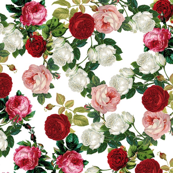 Rose Wrapping Paper Craft Paper According to Redoute as Individual or as a  Set of 10 Identical Patterns 