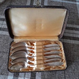 Antique case with 6 teaspoons, coffee spoons around 1890 vintage silver plated