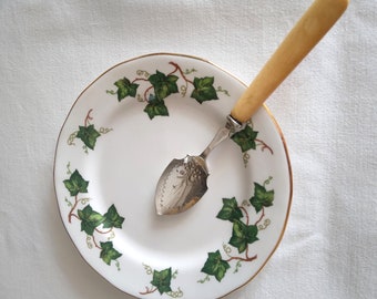 Spoon vintage mother of pearl serving cutlery EPNS Sheffield silver plated England around 1900