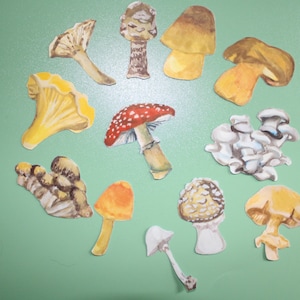 Cottagecore Mushroom Sticker Pack