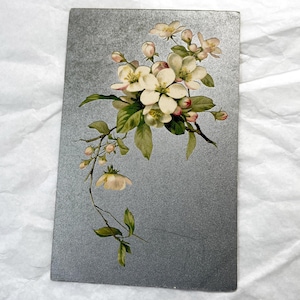 Anni 1900 - Cartolina con sfondo argentato - Antica cartolina francese con fiori - vecchia cartolina