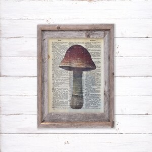 Pirate Art Print On Antique Dictionary Page - 8x10 Unframed Nautical Wall Decor By Intheframe