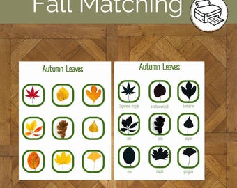 Puede incluir: Una descarga digital titulada "Fall Matching" que presenta dos paneles con ilustraciones de hojas. Cada hoja está en un cuadrado con borde verde. El texto "Autumn Leaves" aparece encima de cada panel. La imagen incluye un icono de impresora.