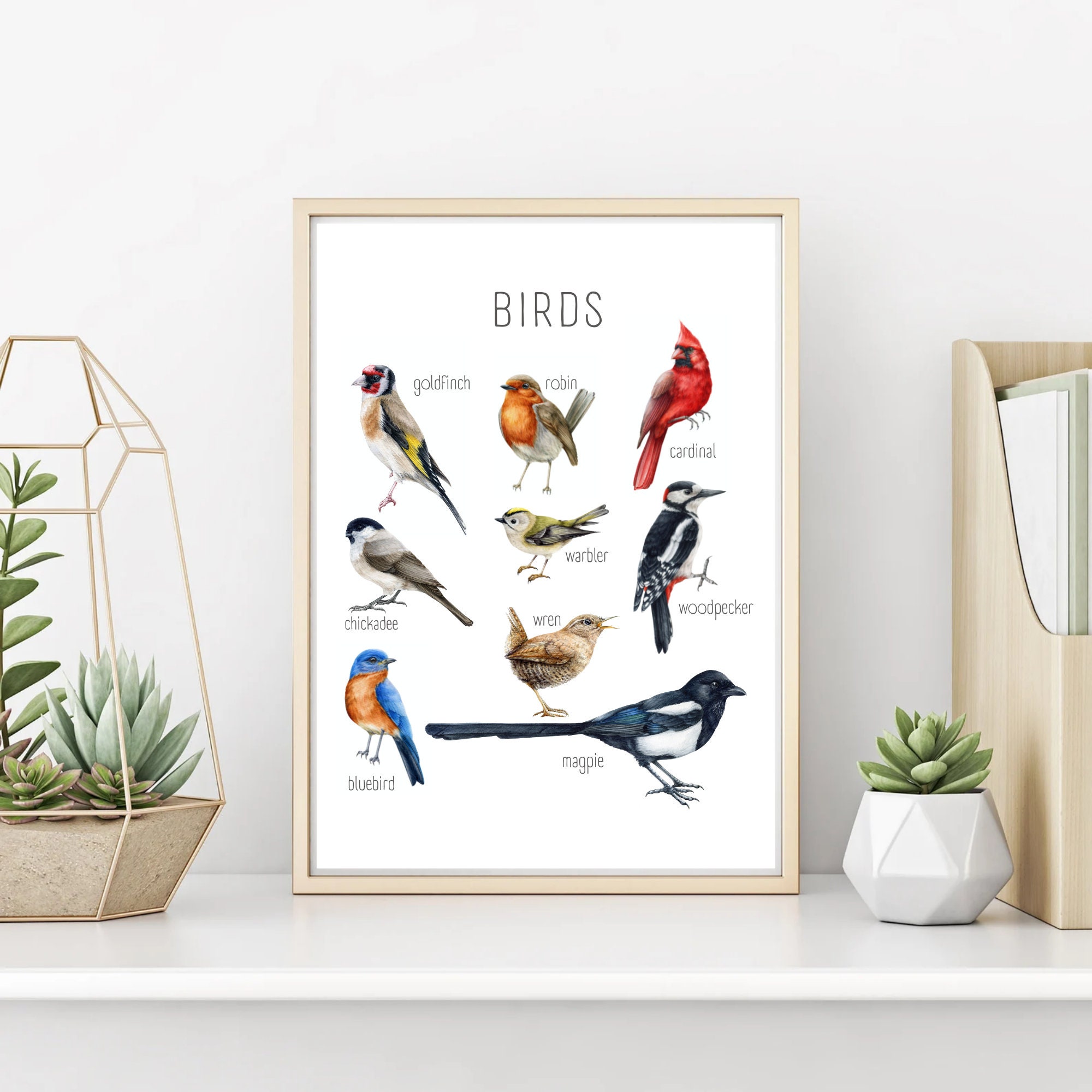 Common Birds Chart: Educational Montessori Classroom Art (digital ...