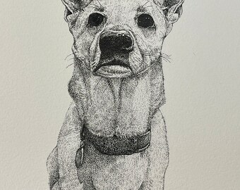 Schäferhund