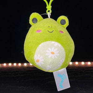 Buy Wendy Frog Squishy Mellows Online In India -  India