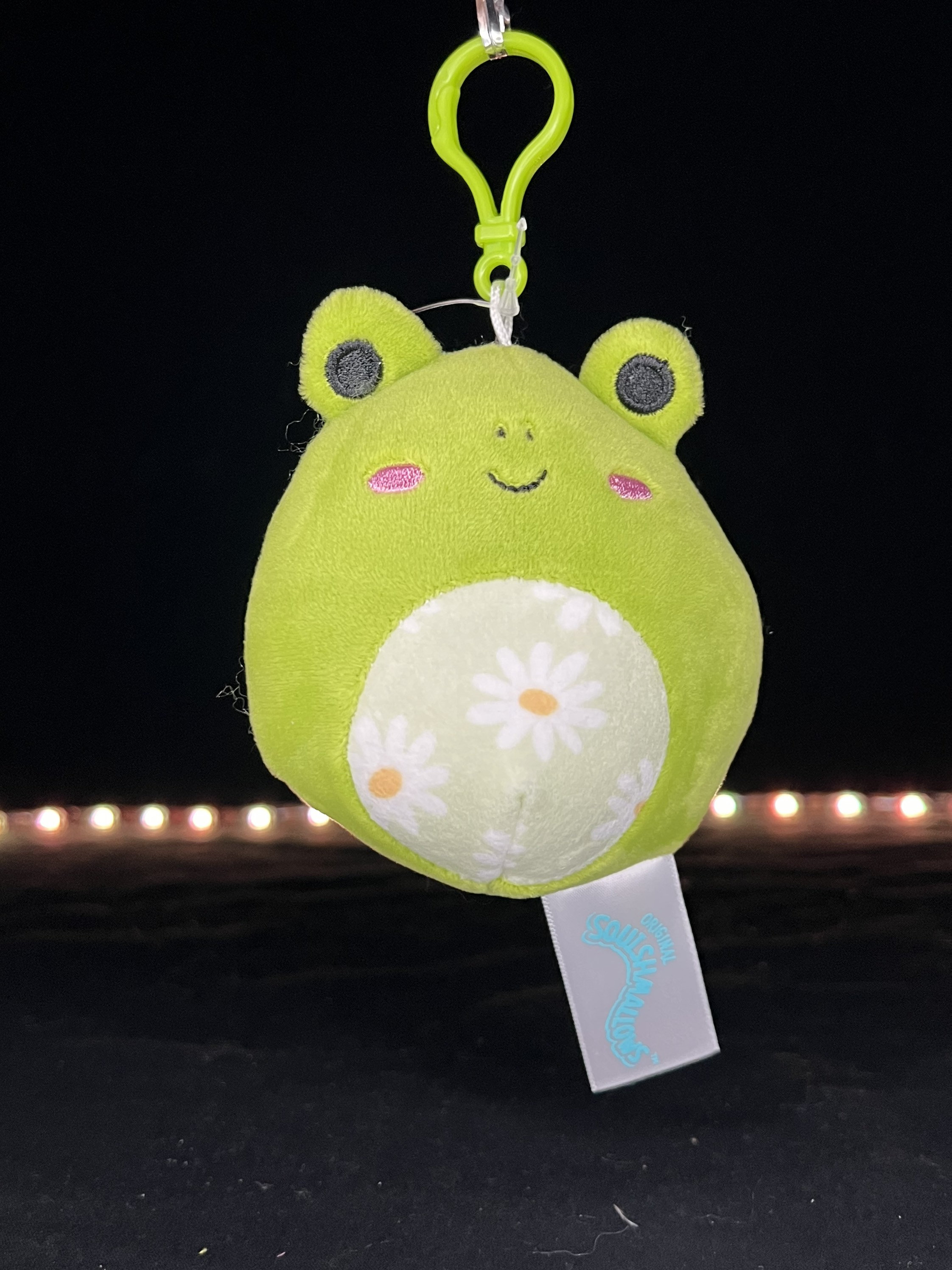 Squishmallow 3.5 Wendy the Frog Clip -  Canada