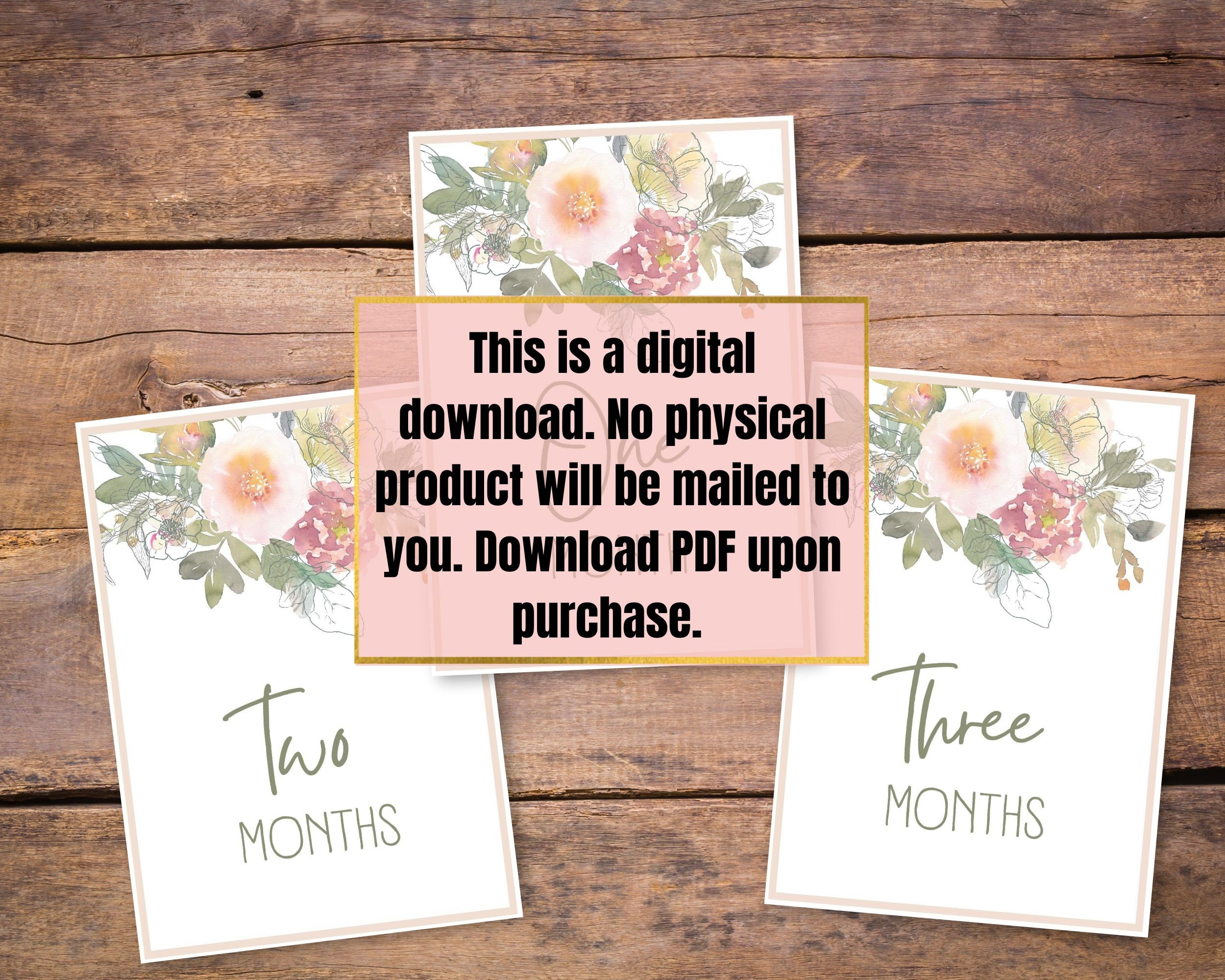Printable Baby Milestone Cards, Monthly Milestone Cards for Baby Photos ...