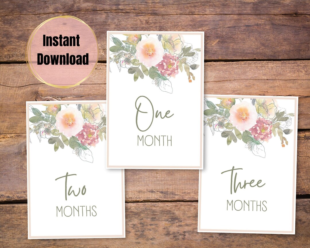 Printable Baby Milestone Cards, Monthly Milestone Cards for Baby Photos - Etsy