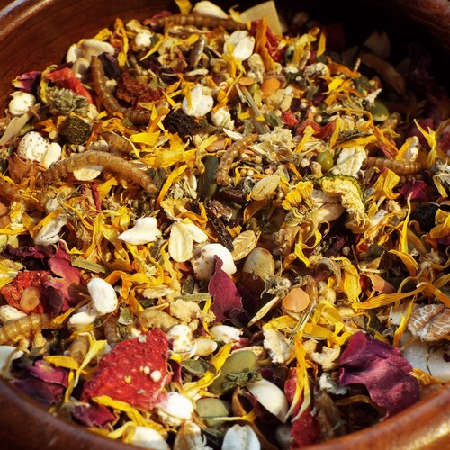 Premium Syrian Hamster Food Etsy UK