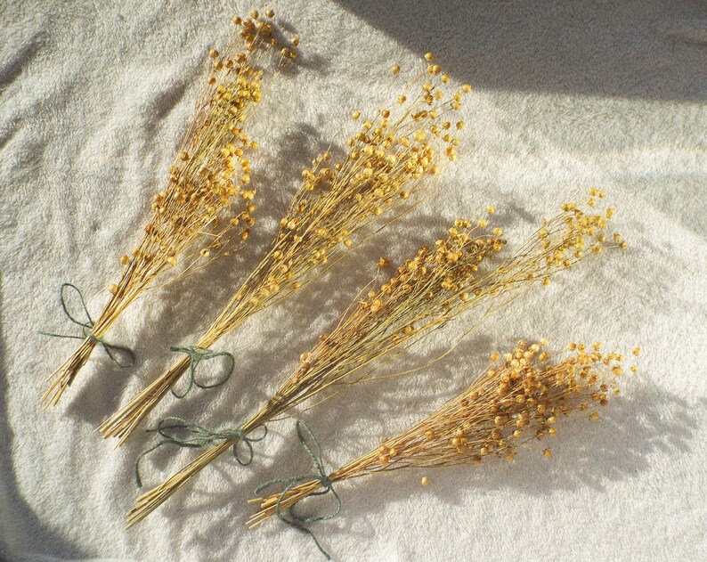 Flax Sprays Natural Enrichment for Hamsters Mice Gerbils Etsy UK