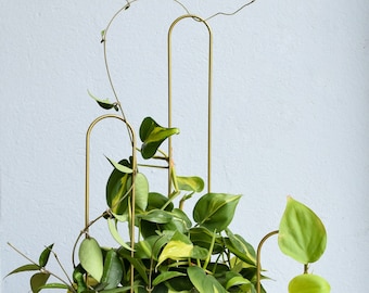 Gold metal plant trellis support climbing vines powder coated steal wire leaf stabilizer ivy hoya syngonium ARCHIE with personalized tag