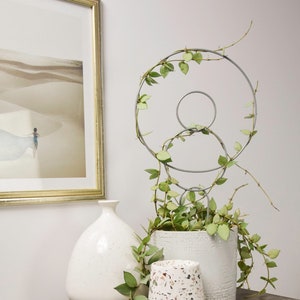 Space Silver metal plant trellis support climbing vines powder coated steal wire ivy hoya syngonium circular LEO with personalized tag
