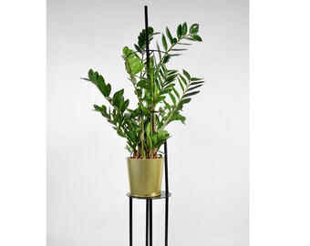 Black metal plant stand powder coated limbing vines  steal stabilizer furniture KOBE with short extension and set circular support