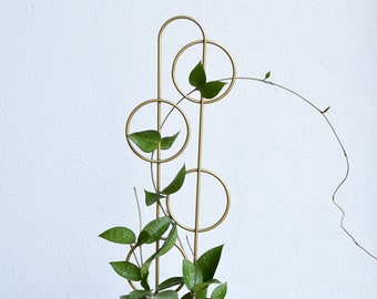 Gold metal plant trellis support climbing vines powder coated steal wire leaf round stabilizer ivy hoya syngonium HARRISON personalized tag