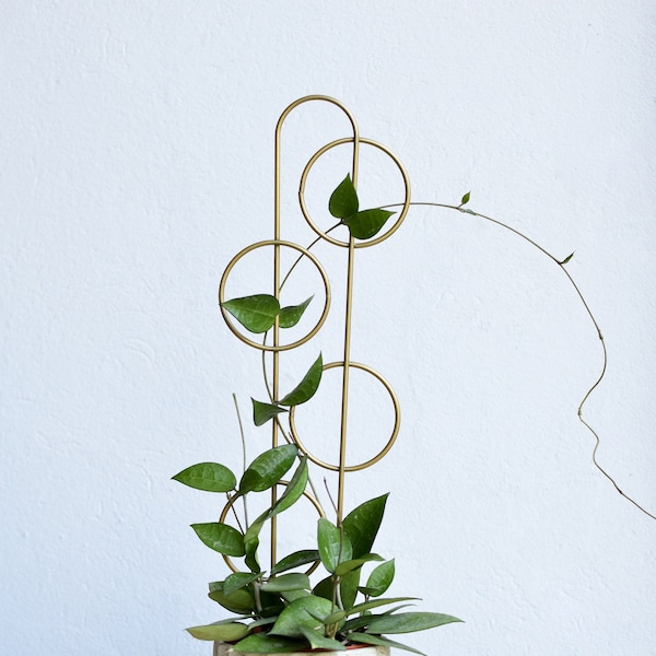 Gold metal plant trellis support climbing vines powder coated steal wire leaf round stabilizer ivy hoya syngonium HARRISON personalized tag