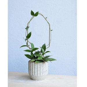 trellis plant ondersteuning goud metalen trellis voor klimplanten hoya trellis syngonium stabilisator kamerplant trellis moderne gepersonaliseerde PICARD