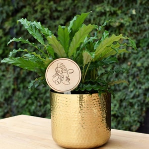 Plywood plant tag label decor stake ecofriendly pot marker sign face modern plant lover image 1